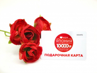 Подарочная карта номиналом 10 000 рублей, фото 1